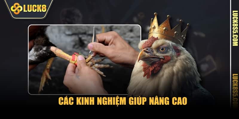 Các kinh nghiệm giúp nâng cao