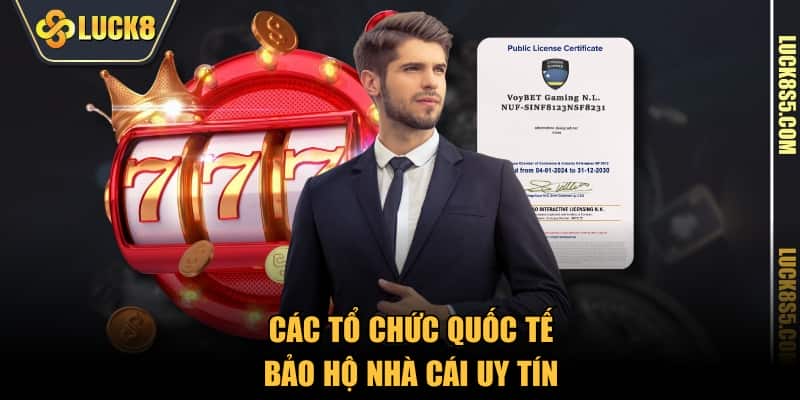 Các tổ chức quốc tế bảo hộ nền tảng uy tín