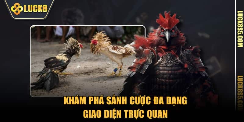 Khám phá sảnh cược đa dạng, giao diện trực quan