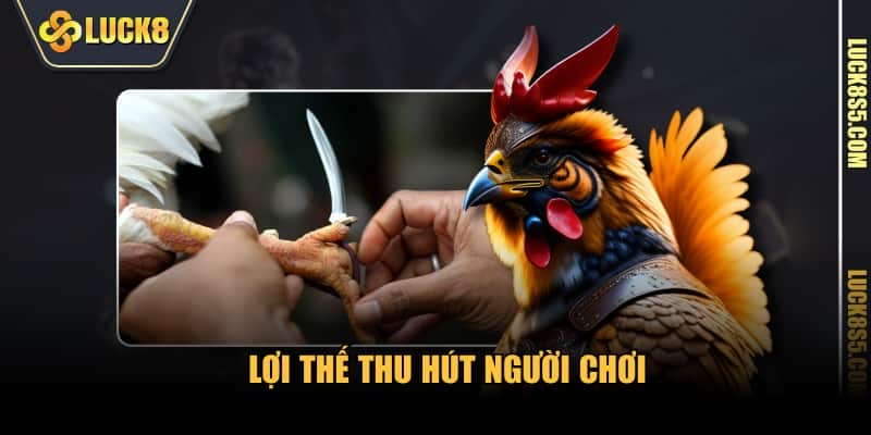 Lợi thế thu hút người chơi