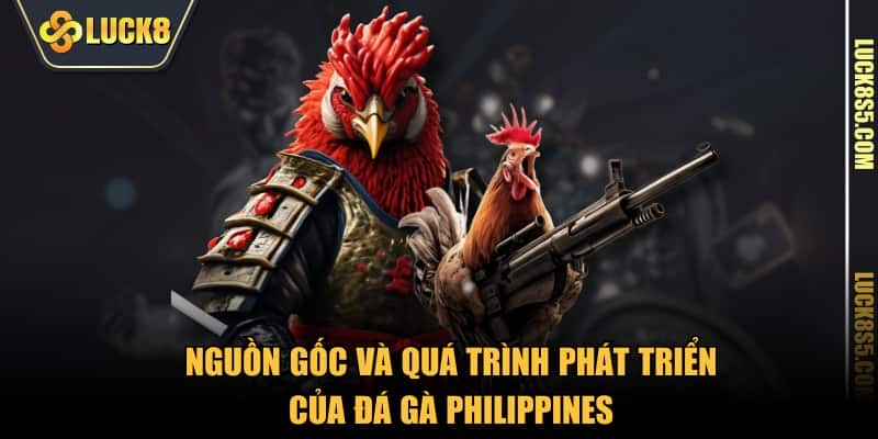 Nguồn gốc và quá trình phát triển của Đá Gà Philippines
