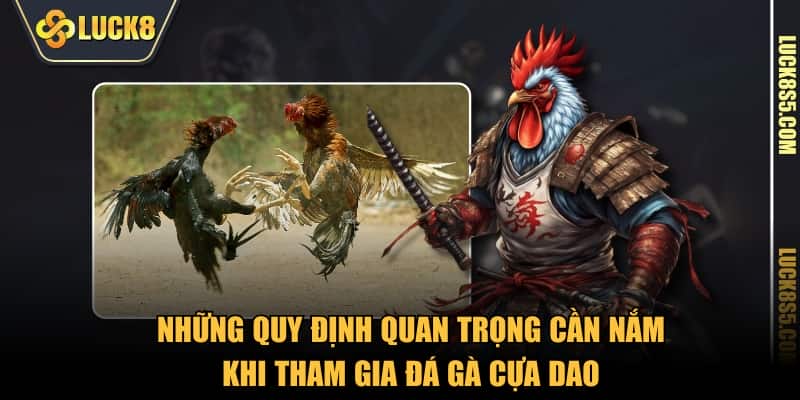 Những quy định quan trọng cần nắm khi tham gia đá gà cựa dao