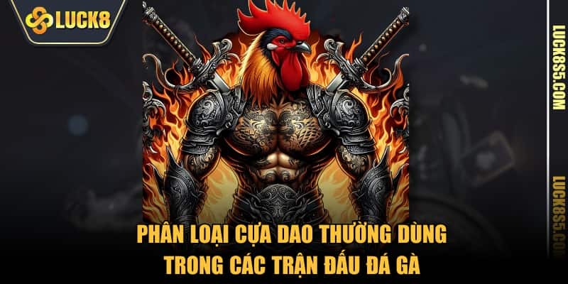 Phân loại cựa dao thường dùng trong các trận đấu đá gà