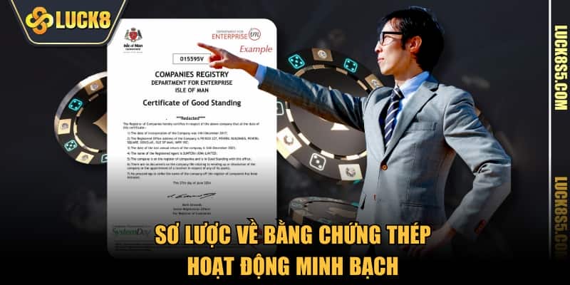 Sơ lược về bằng chứng thép hoạt động minh bạch 